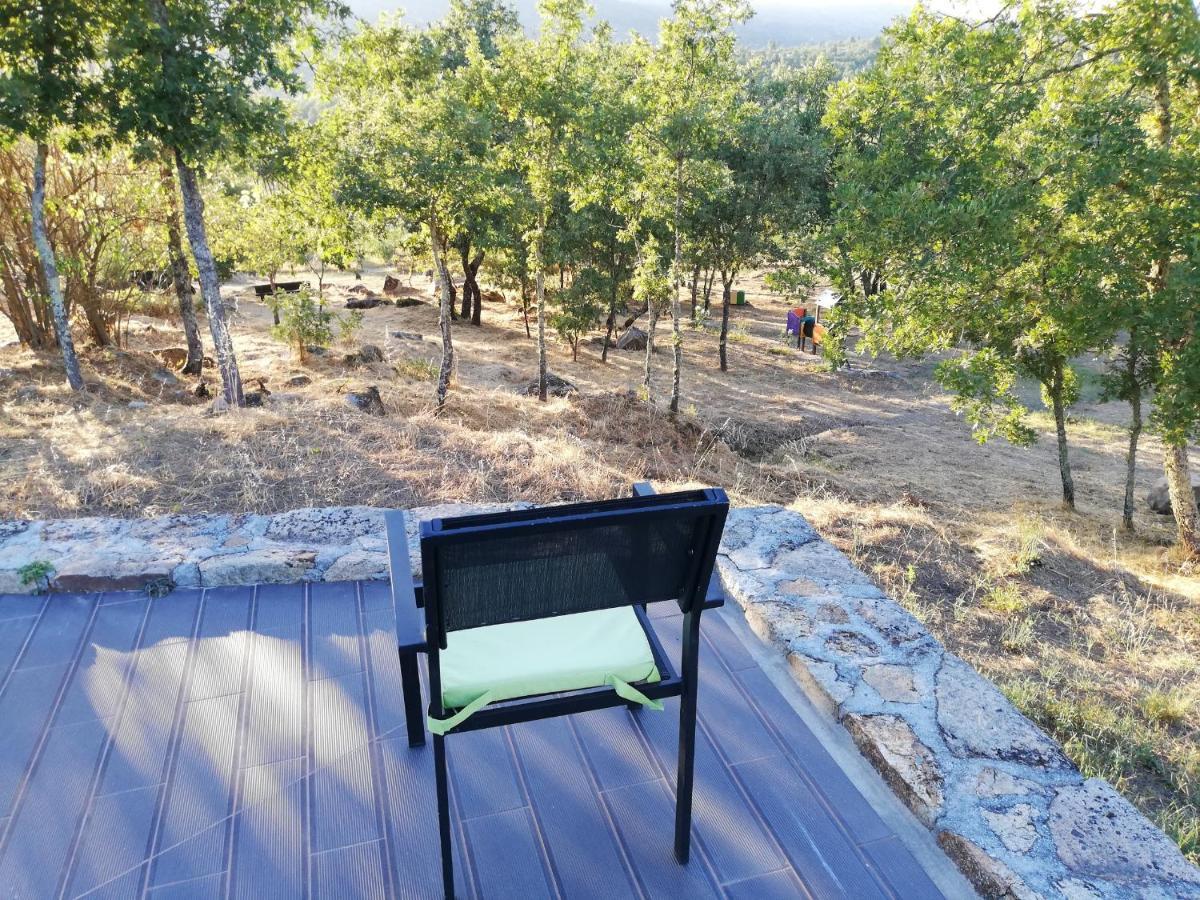 Quinta Dos Carvalhais - Serra Da Estrela Fornos de Algodres Exteriér fotografie