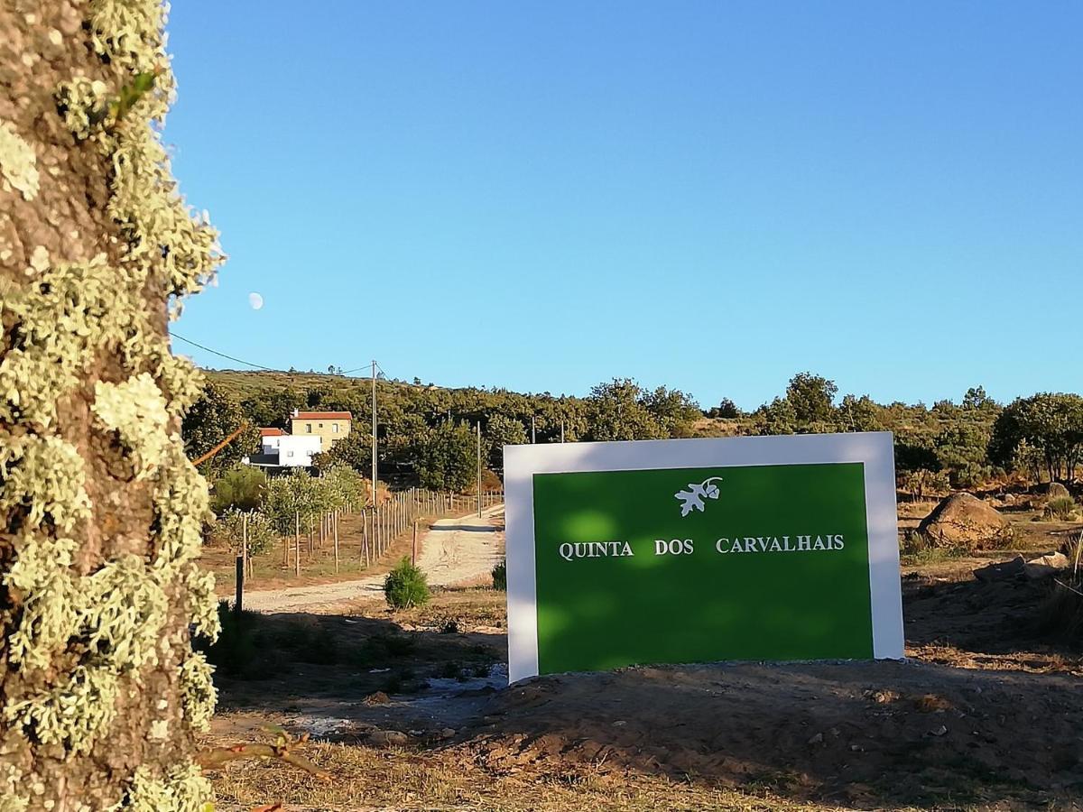 Quinta Dos Carvalhais - Serra Da Estrela Fornos de Algodres Exteriér fotografie