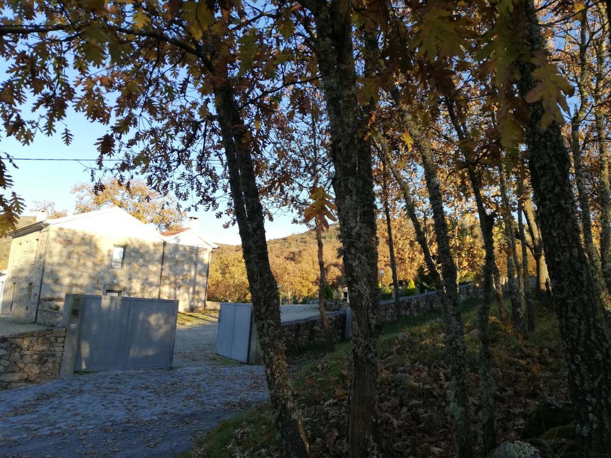 Quinta Dos Carvalhais - Serra Da Estrela Fornos de Algodres Exteriér fotografie