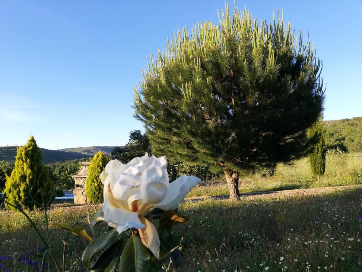 Quinta Dos Carvalhais - Serra Da Estrela Fornos de Algodres Exteriér fotografie