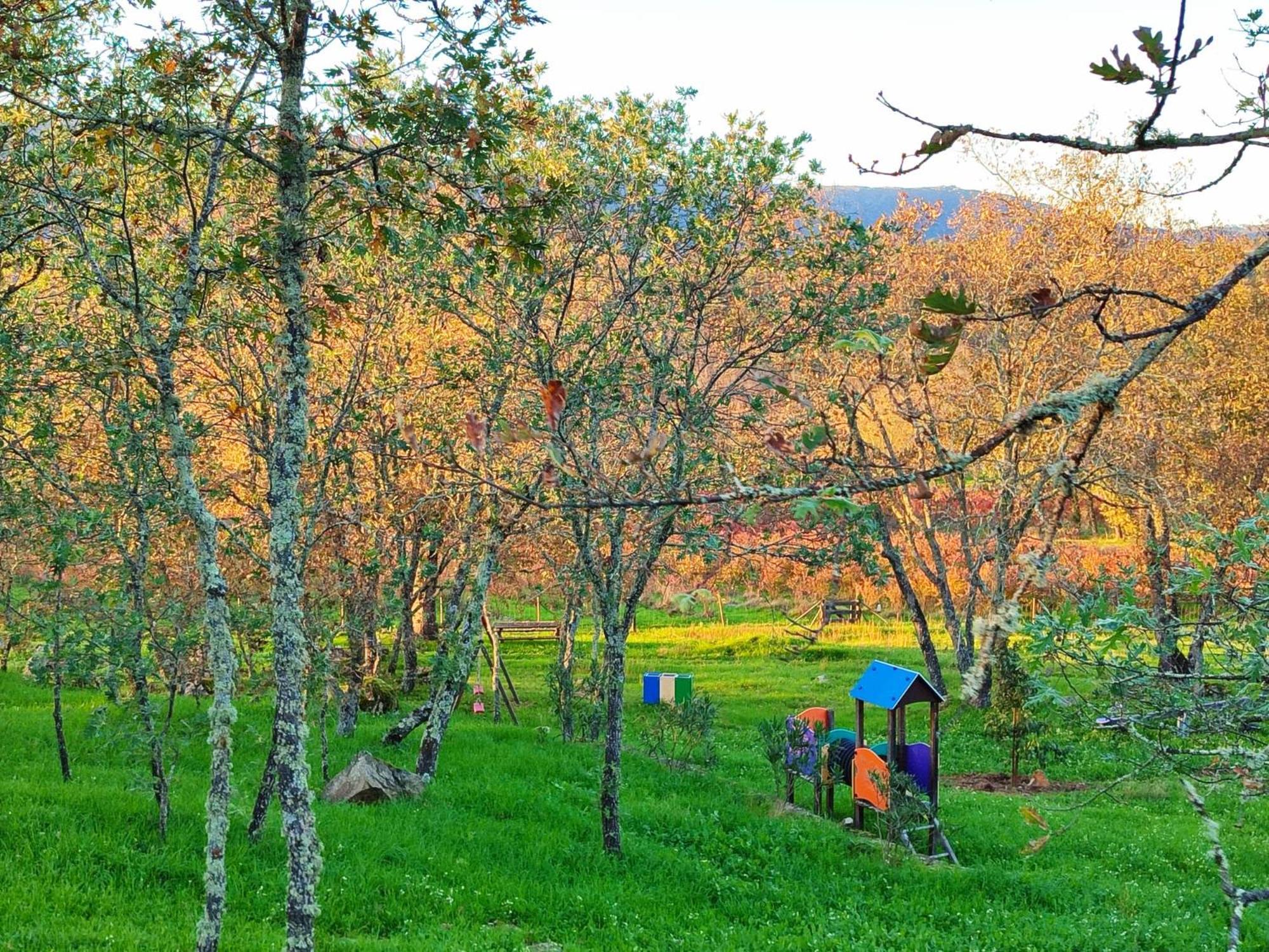 Quinta Dos Carvalhais - Serra Da Estrela Fornos de Algodres Exteriér fotografie
