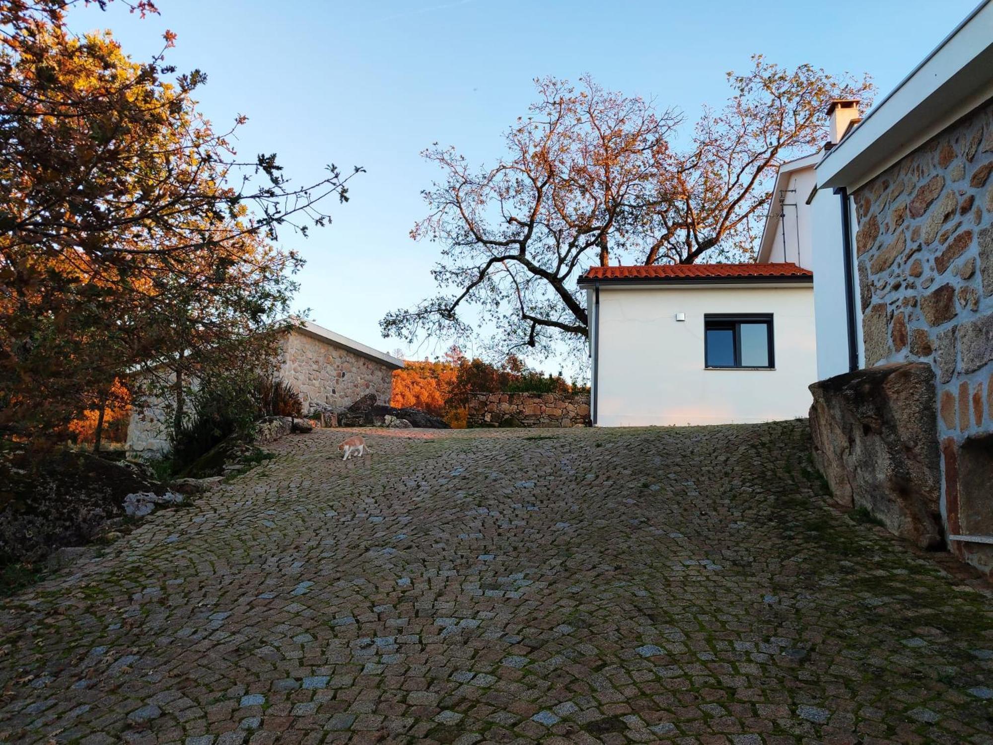 Quinta Dos Carvalhais - Serra Da Estrela Fornos de Algodres Exteriér fotografie
