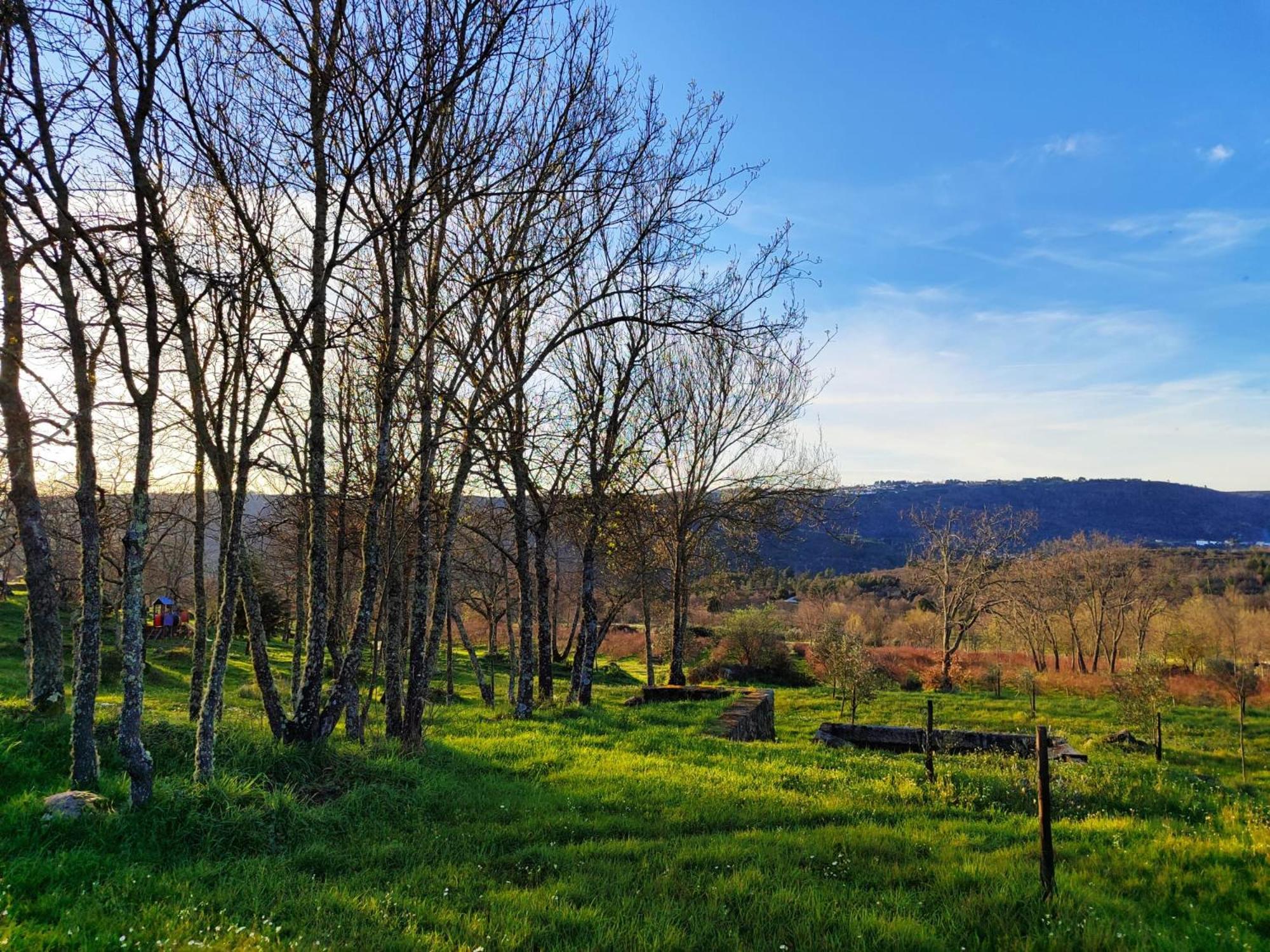 Quinta Dos Carvalhais - Serra Da Estrela Fornos de Algodres Exteriér fotografie