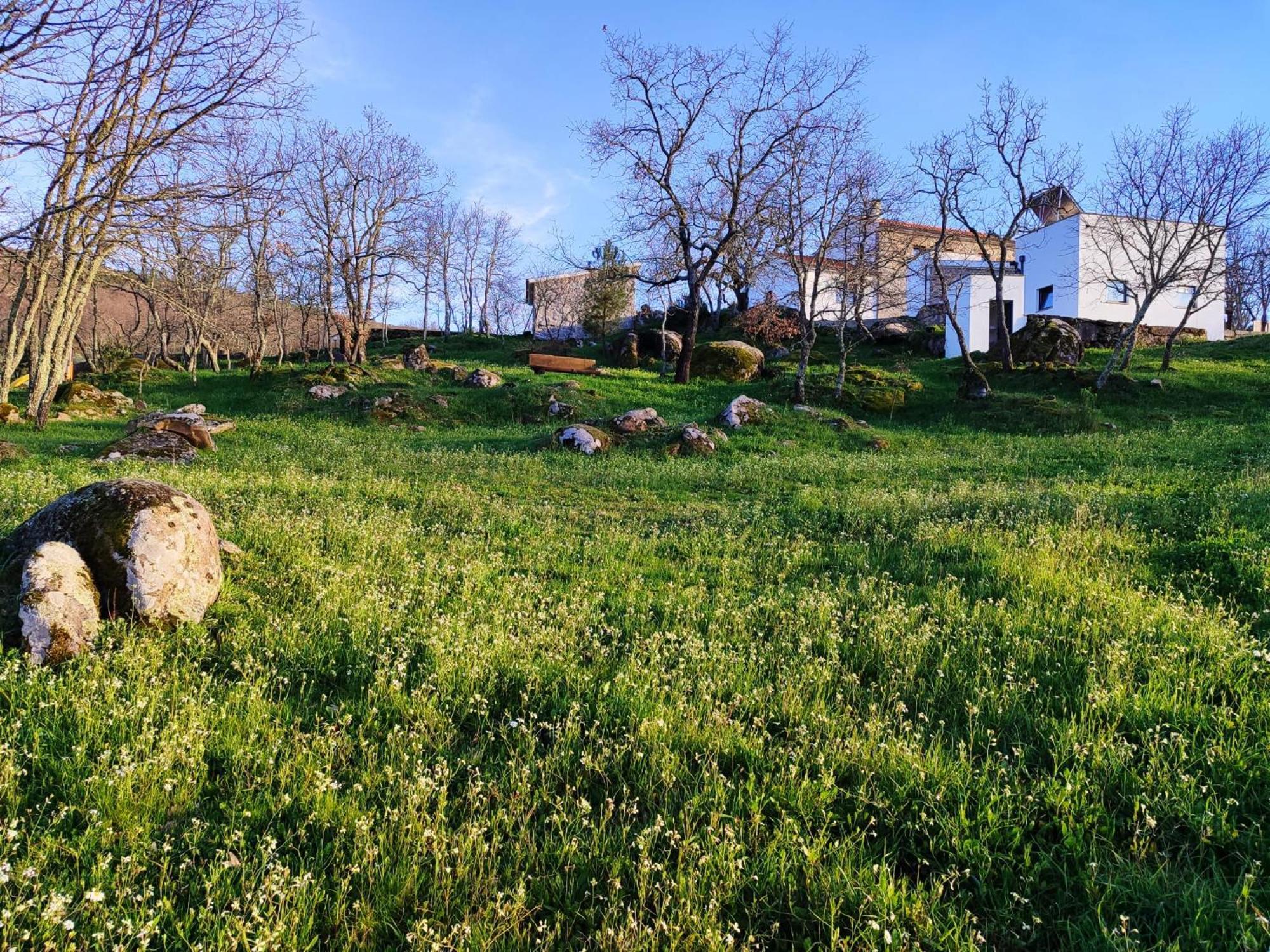 Quinta Dos Carvalhais - Serra Da Estrela Fornos de Algodres Exteriér fotografie