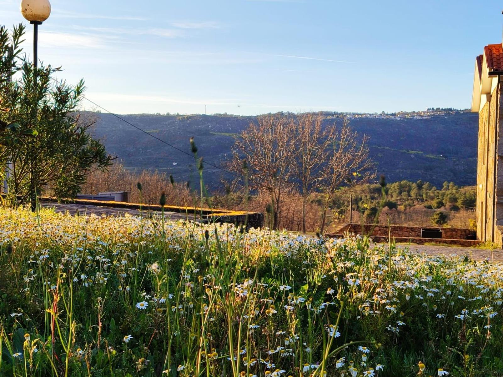 Quinta Dos Carvalhais - Serra Da Estrela Fornos de Algodres Exteriér fotografie
