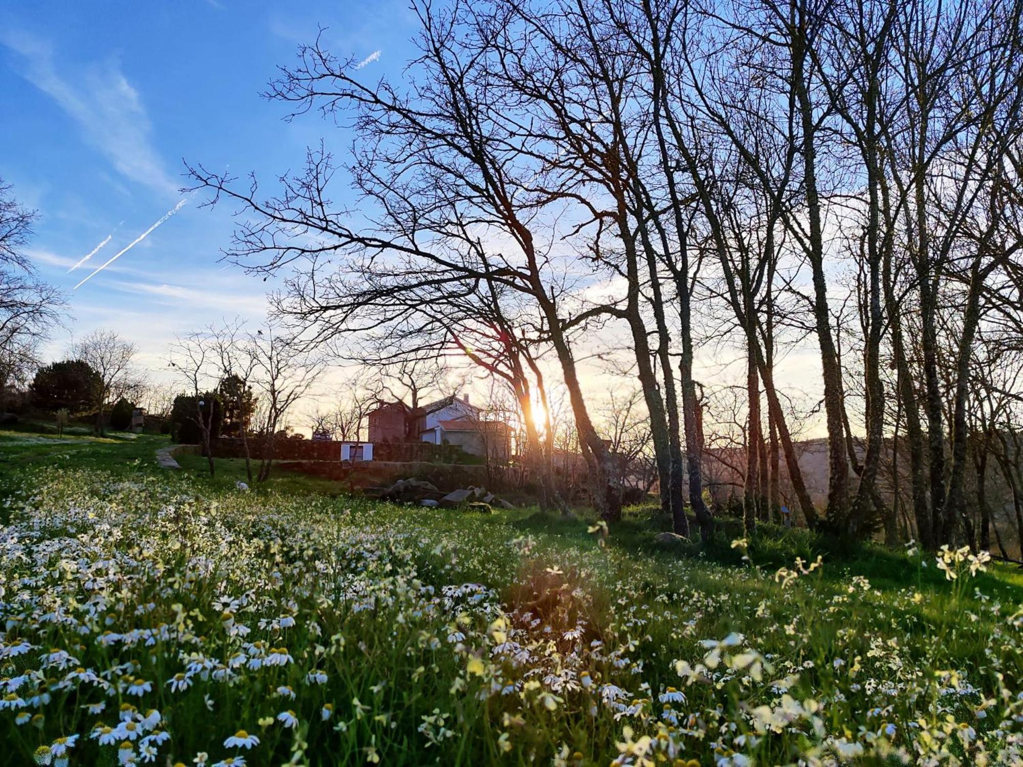 Quinta Dos Carvalhais - Serra Da Estrela Fornos de Algodres Exteriér fotografie