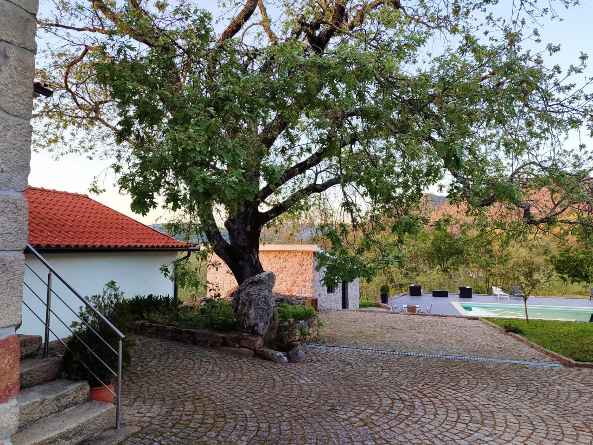 Quinta Dos Carvalhais - Serra Da Estrela Fornos de Algodres Exteriér fotografie